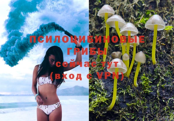 хмурый Михайлов