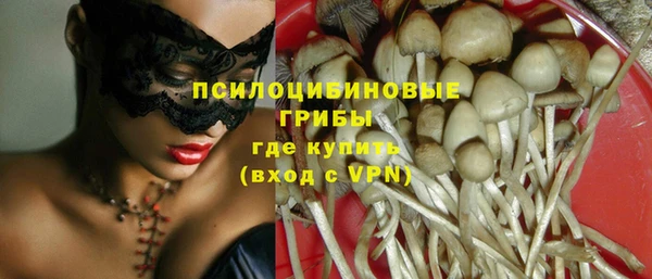 гидропоника Михайловск