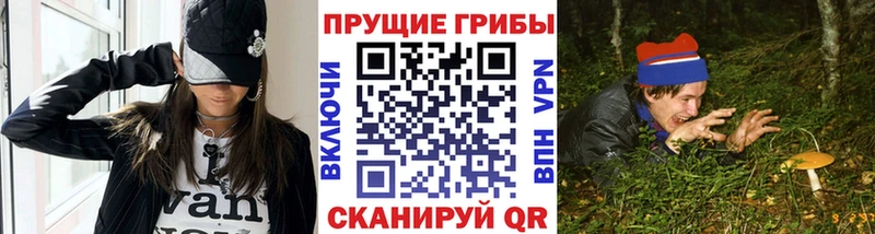 купить наркоту  Советский  МЕГА ONION  Псилоцибиновые грибы Psilocybe 