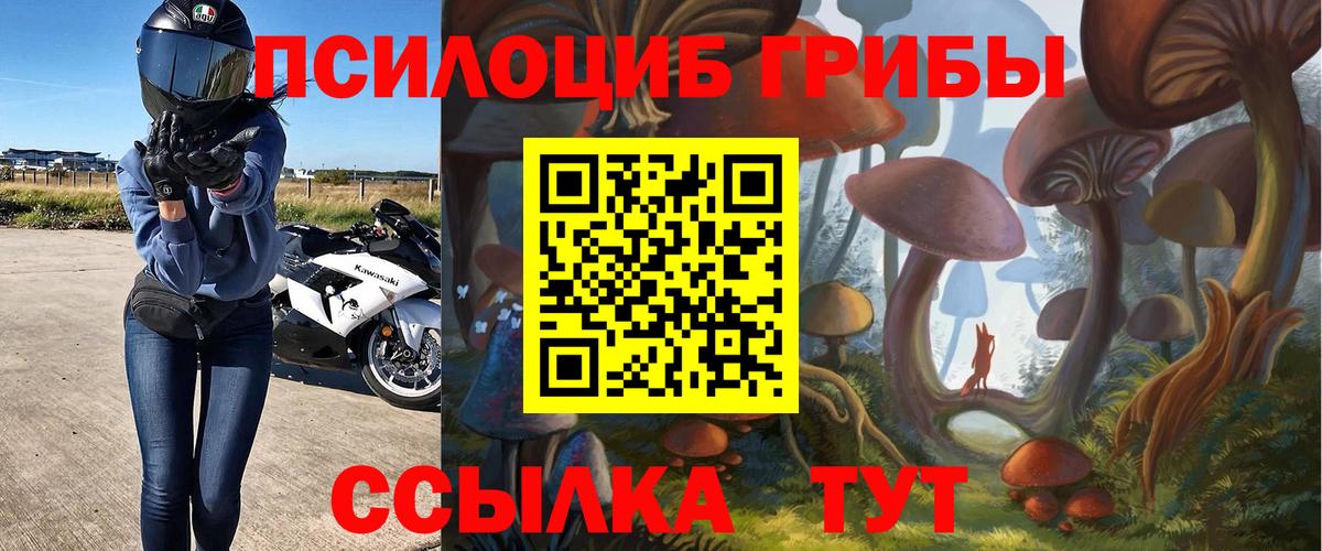 Советский  Псилоцибиновые грибы мухоморы  Вход с VPN 