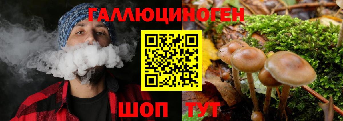 Псилоцибиновые грибы Cubensis Советский